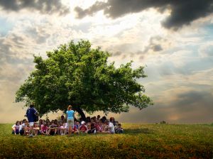 1161714_kids_under_tree