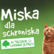 Pełna miska dla schroniska